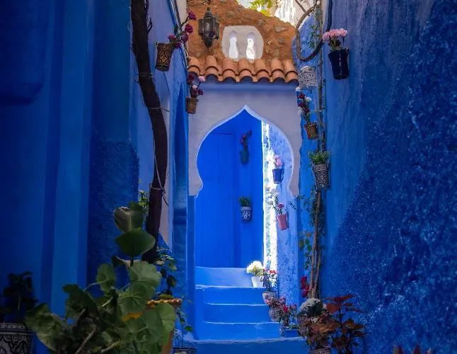 Casa Blue Star
