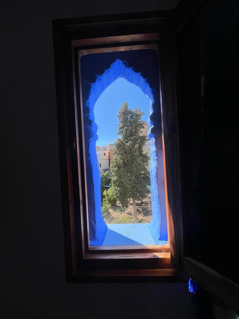 Casa Blue Star Albergue *